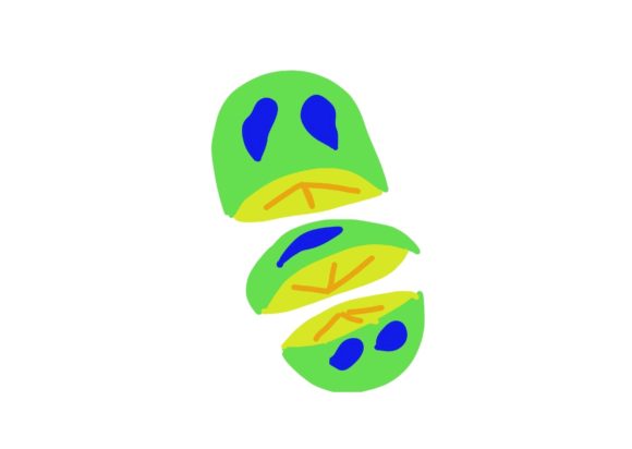 Download Green Yellow Fruit Graphic/illustration - Illustration Collection