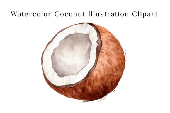 Download Watercolor Coconut Illustration Clipart - Illustration Collection