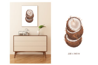 Download Watercolor  Coconut Illustration - Illustration Collection